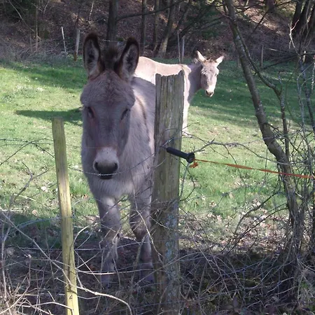 Apartamento Au Bon Logis *