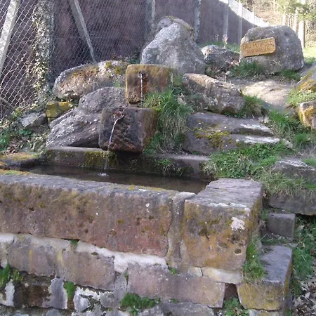 Au Bon Logis * Thannenkirch