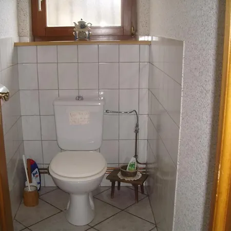 Au Bon Logis Apartment Thannenkirch