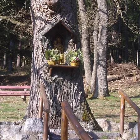 Au Bon Logis Thannenkirch