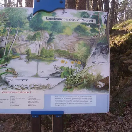 Au Bon Logis Thannenkirch